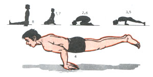 Mayurasana (Peacock posture)